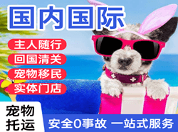 湘西边城航空物流国际宠物托运 【国